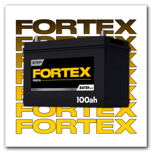 FORTEX 100AH ICONE