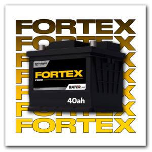 FORTEX 40AH ICONE2 - Copia
